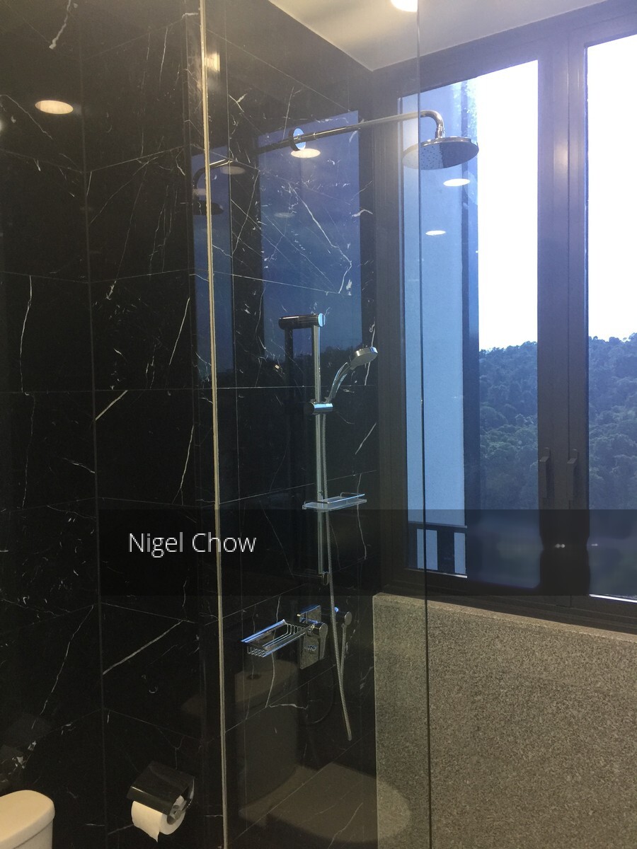 The Hillier (D23), Apartment #333396991